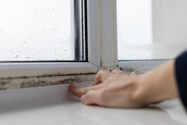 humedad en ventana